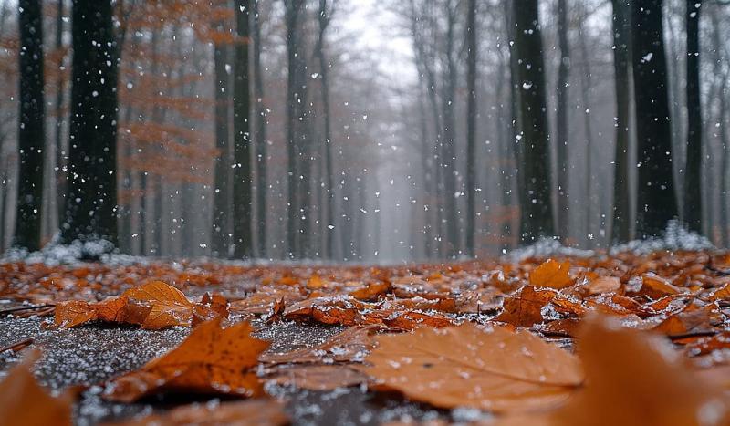 дождь, снег и похолодание ожидаются в выходные в казахстане: погода в субботу и воскресенье, 19 и 20 октября 2024