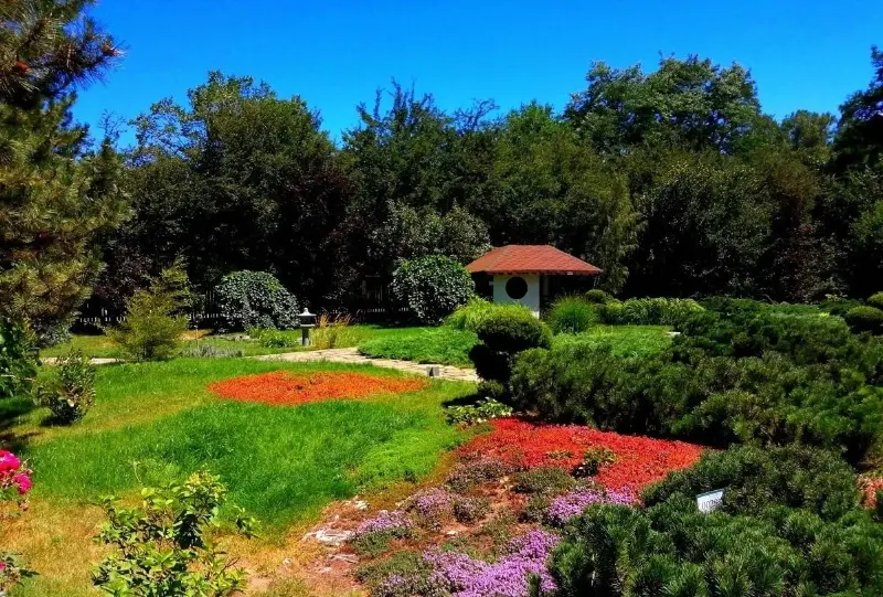 тепло после похолодания придет в казахстан, дожди уйдут из узбекистана и кыргызстана: погода на неделю 27 – 31 мая 2024 