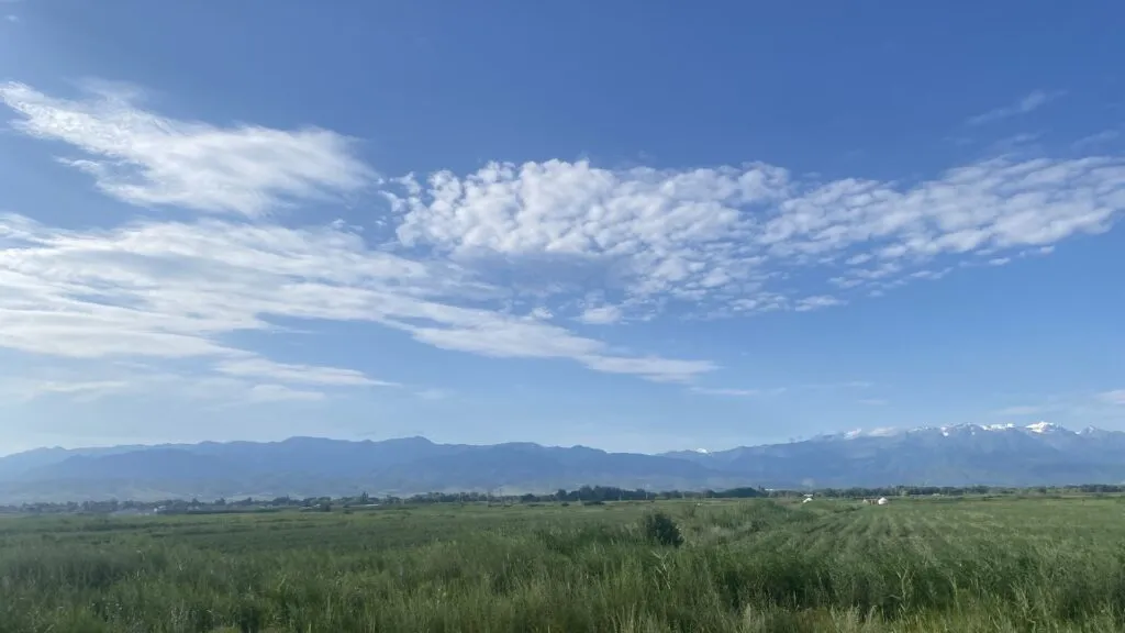 жара до 45 градусов и дожди ожидаются в казахстане: погода в четверг, 25 июля 2024