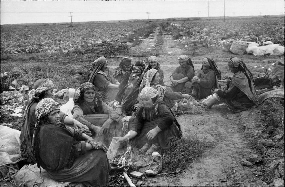 Гитлер о народах Средней Азии: «Если они нам больше не нужны, пусть умирают. Их плодовитость нежелательна. Мы будем убивать 3-4 миллиона человек в год»