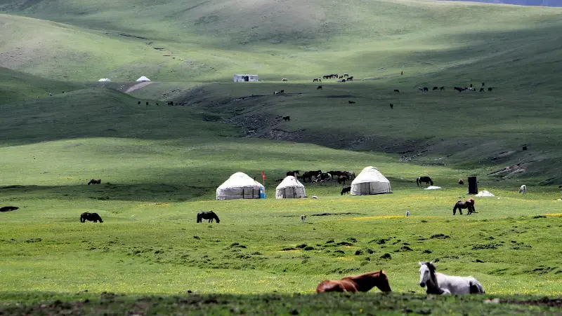 жара ожидается в узбекистане и кыргызстане: погода в четверг, 20 июня 2024