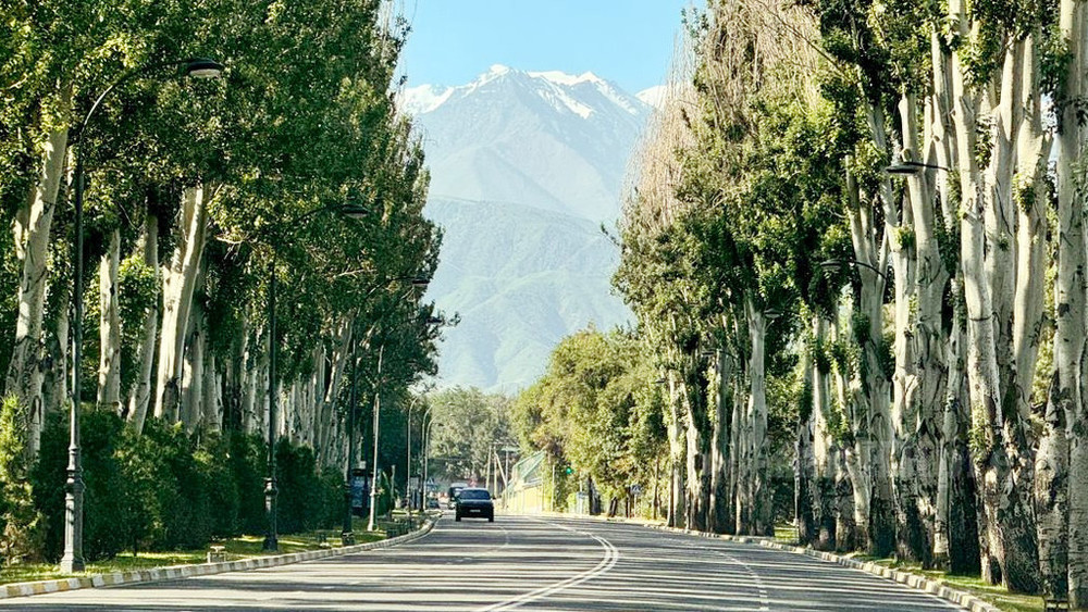 кратковременные дожди пройдут в узбекистане и кыргызстане: погода в среду, 10 июля 2024