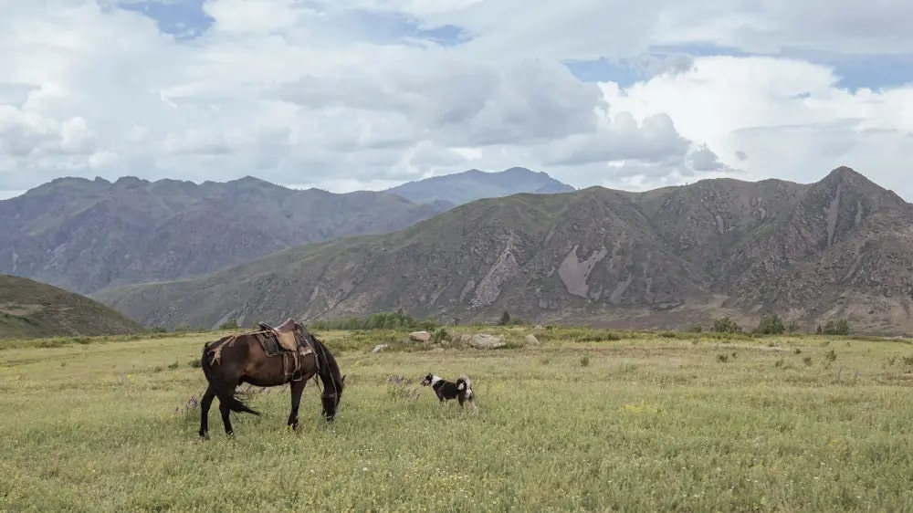 дожди и прохлада придут в некоторые территории казахстана: погода в четверг, 11 июля 2024