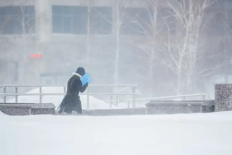 какой будет погода в странах центральной азии на предстоящей неделе, с 23 по 29 декабря 2024