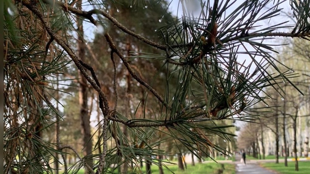 тепло, местами дожди: погода в странах центральной азии в четверг, 4 апреля 2024