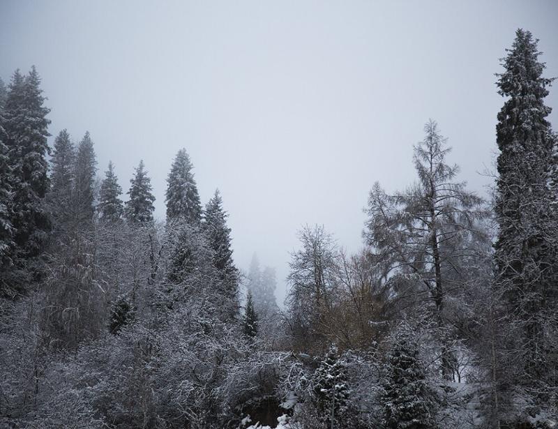 Весна подождет: погода приготовила сюрпризы жителям Казахстана в субботу, 2 марта 2024