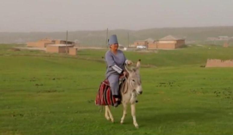 власти узбекистана  вручили орден медсестре, которая ездит на вызовы к пациентам на осле