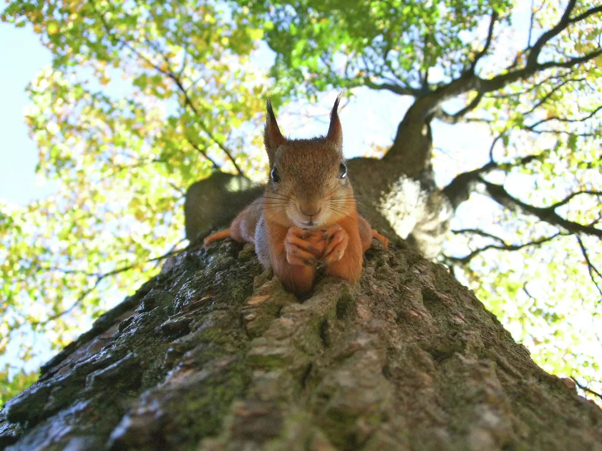 теплая и сухая погода ожидается в кыргызстане и узбекистане: погода в субботу и воскресенье, 21 и 22 сентября 2024