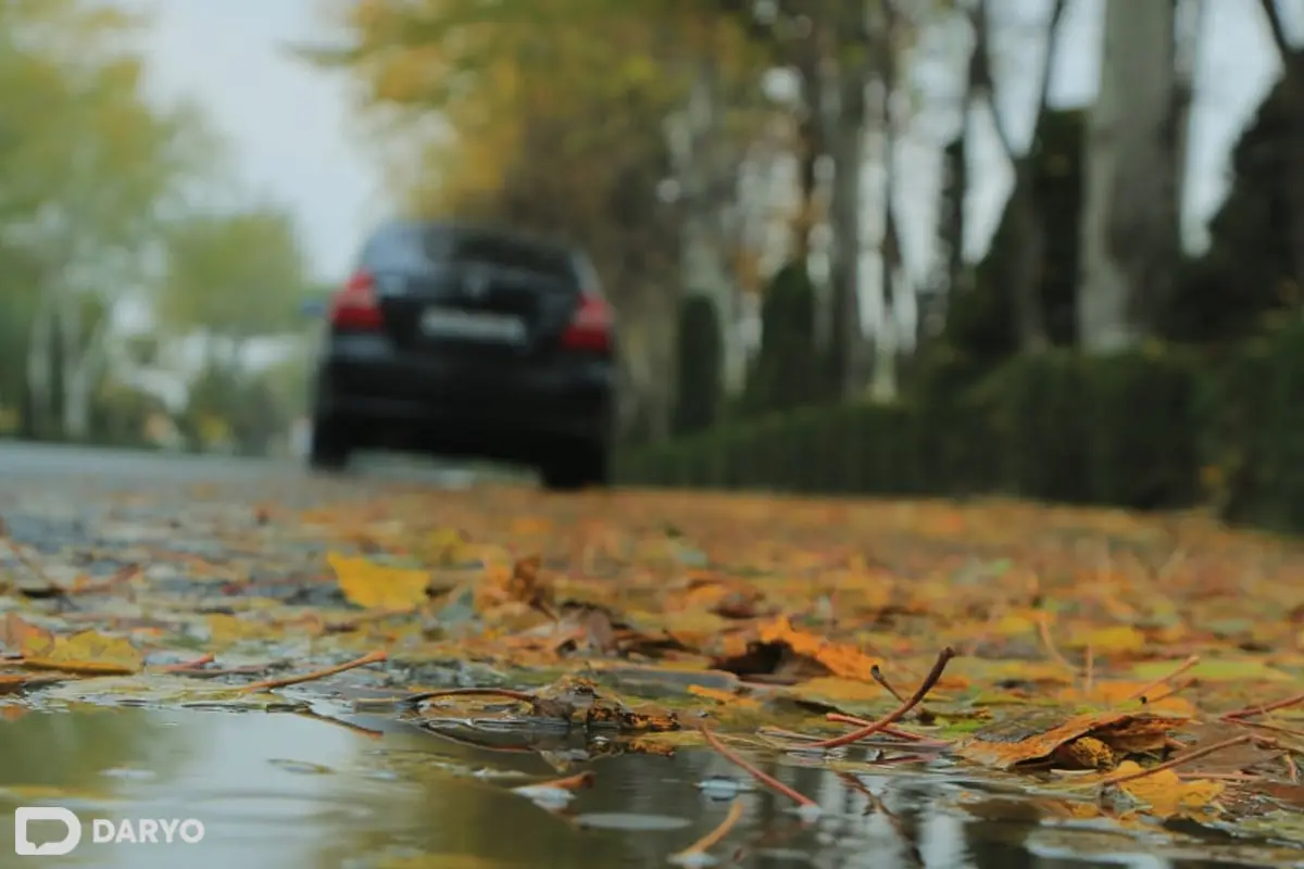 до +18 в узбекистане, дожди и снег в кыргызстане: погода в четверг, 21 ноября 2024