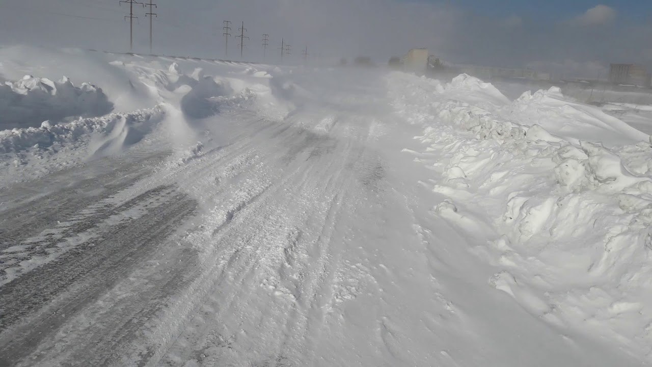 в казахстане с трассы  эвакуировали 40 белорусов, оказавшихся в снежном заносе
