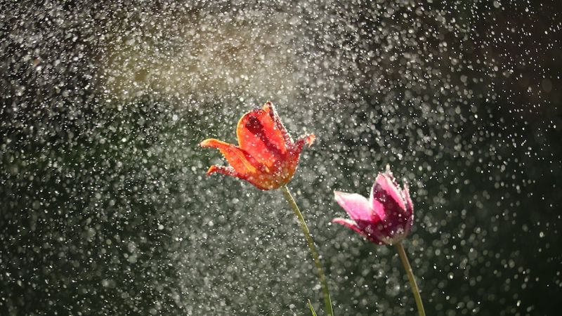 потепление и сильные осадки: погода в казахстане в субботу, 16 марта 2024