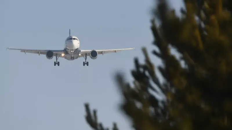 российские авиакомпании выполняют почти 90% полетов из таджикистана в рф