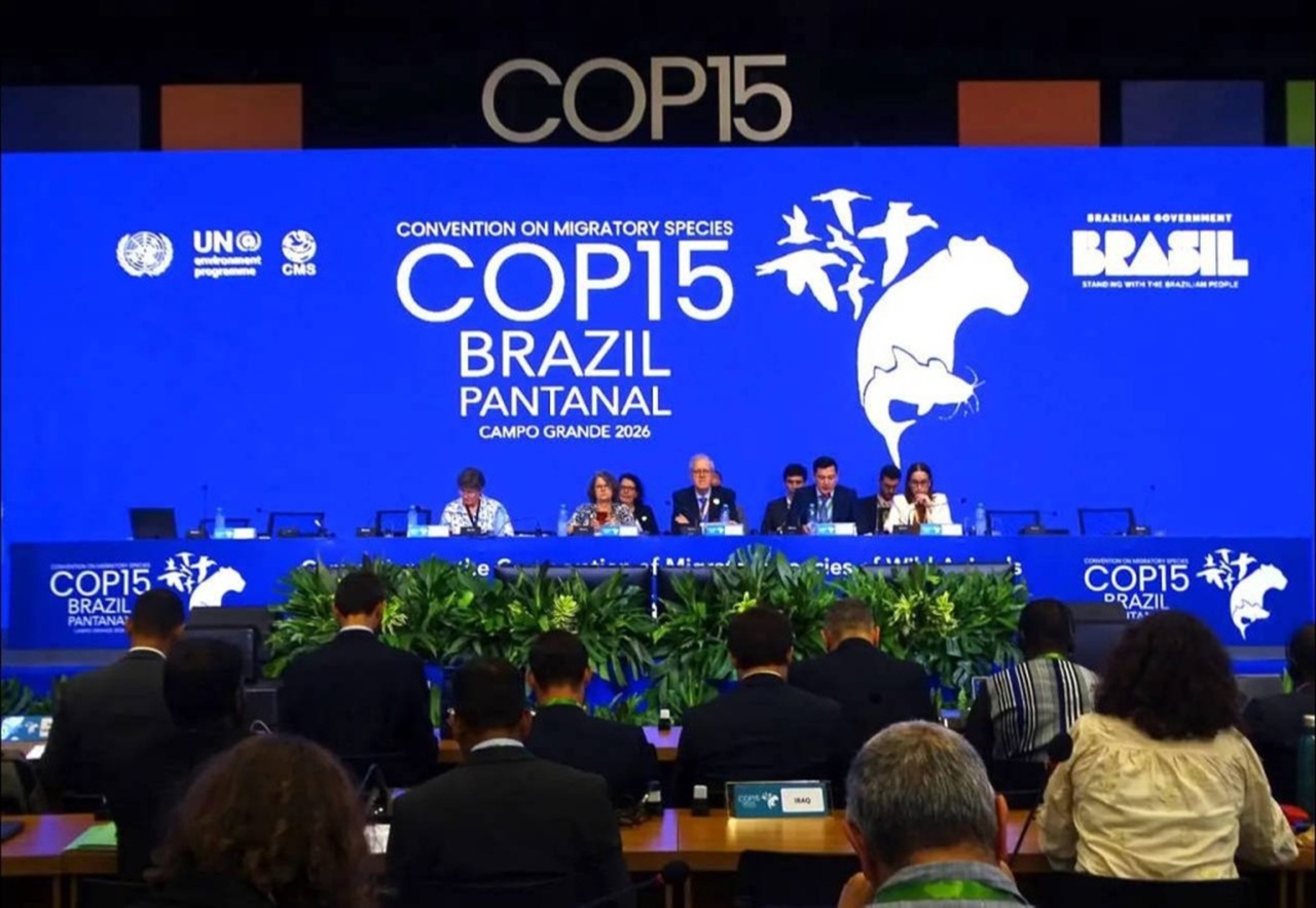 узбекистан получил высший экологический статус «чемпиона по мигрирующим видам» в бразилии