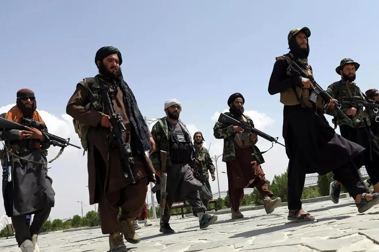 «талибан» просит открыть представительство в сша и обсуждает признание своей власти