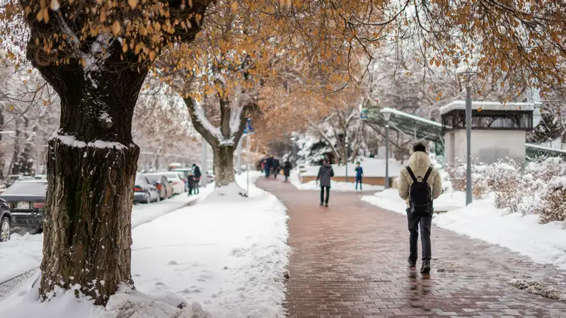 какой будет погода в центральной азии в среду, 27 ноября 2024