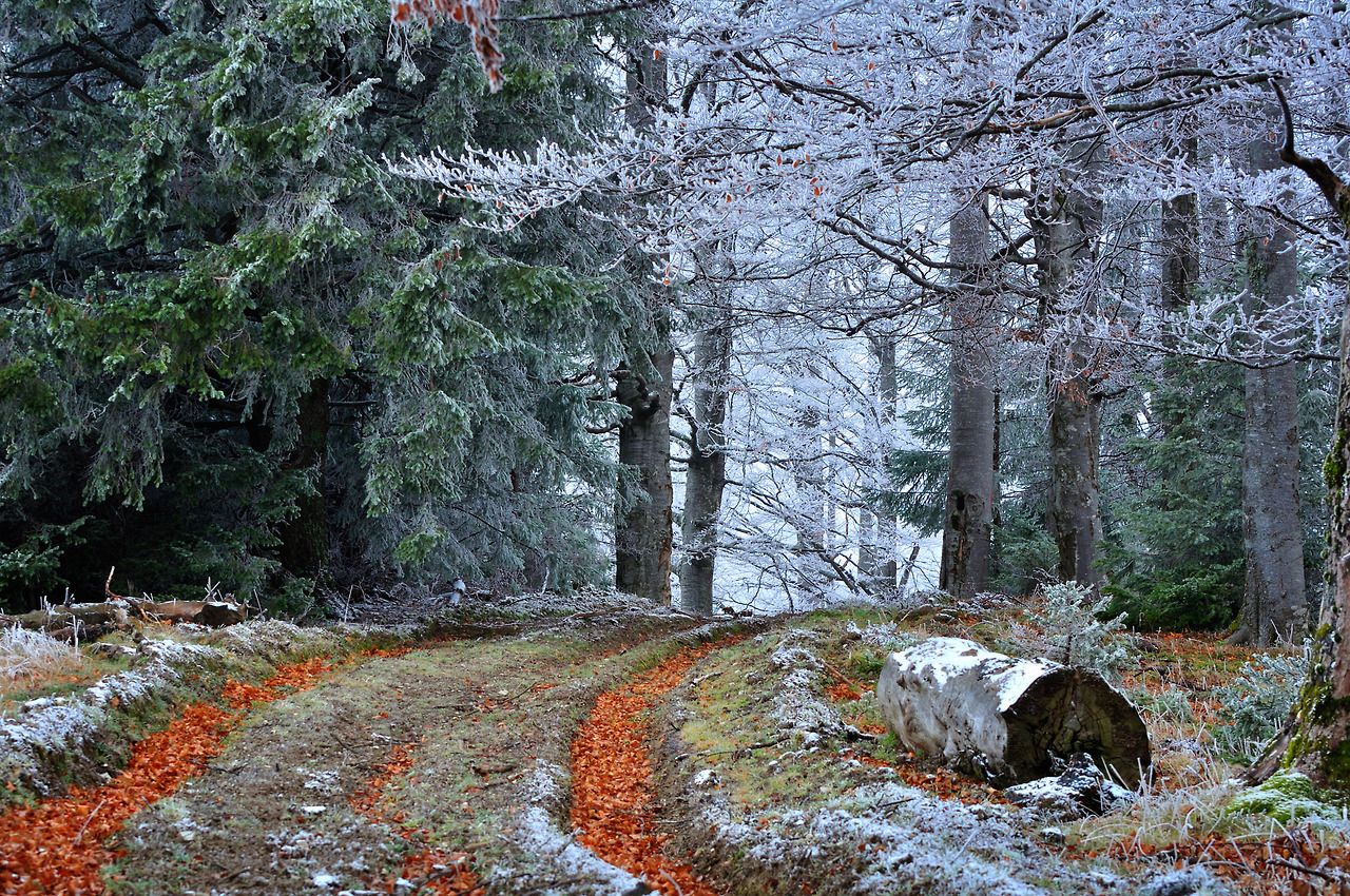 стало известно, какая погода будет в казахстане в пятницу, 7 ноября 2025 года
