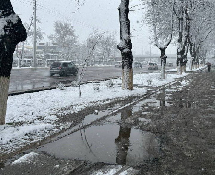 какой будет погода в центральной азии в понедельник, 9 декабря 2024