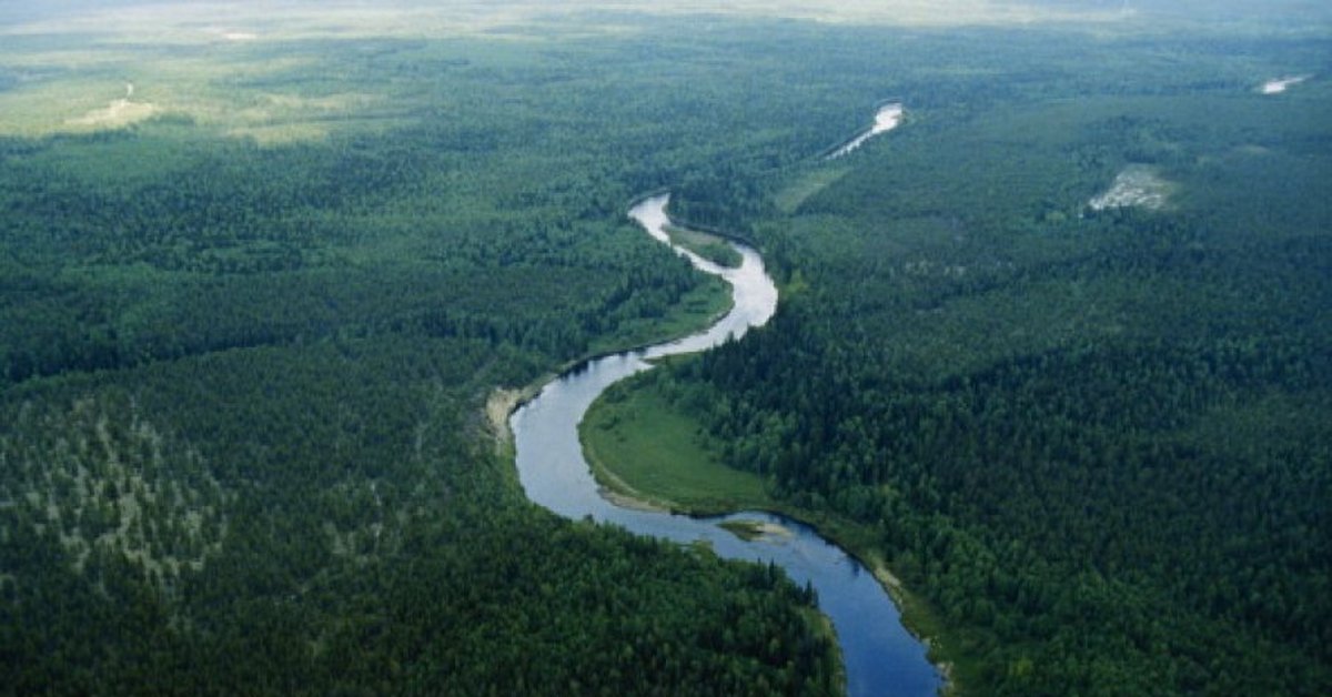 Поворот не туда: казахстанский депутат попросил Сибирь поделиться водой 