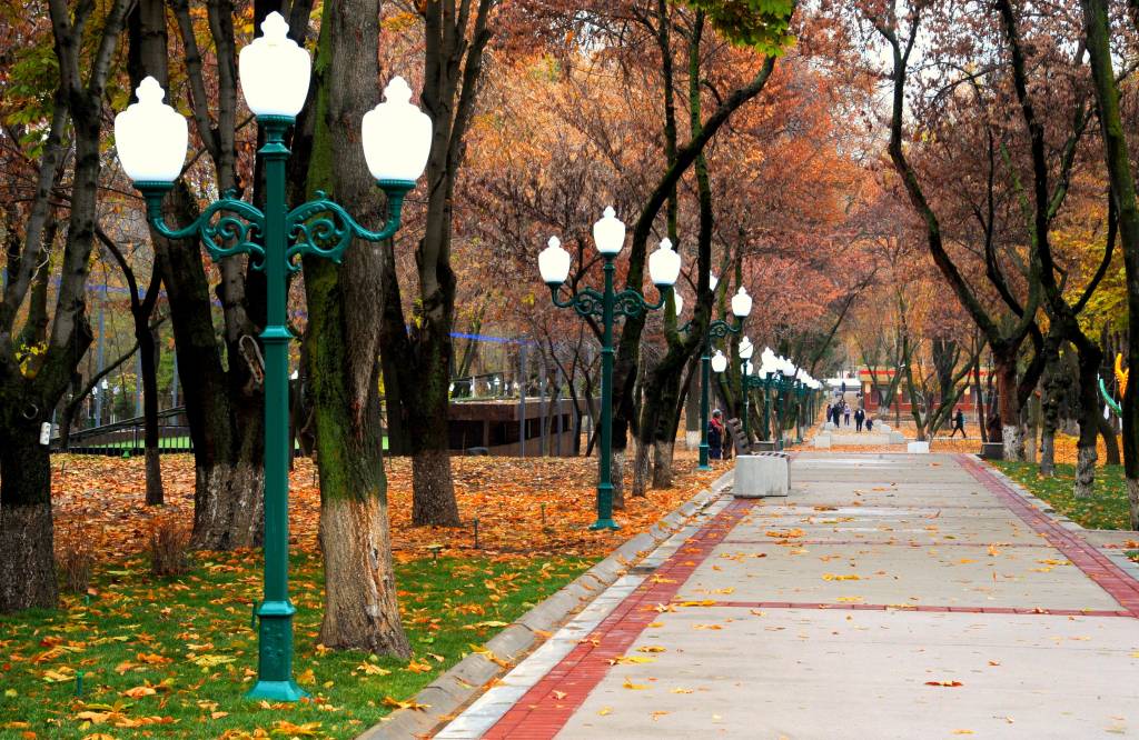 туман и потепление в узбекистане, дождь и снег в кыргызстане: погода в среду, 20 ноября 2024