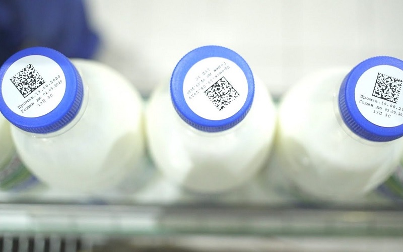 заслон фальсификату:  в казахстане ужесточили требования к маркировке молока и молочной продукции