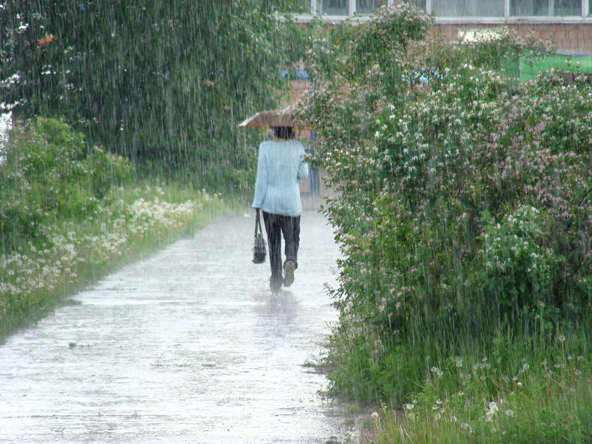 кратковременные дожди и жара ожидаются в узбекистане и кыргызстане: погода в пятницу, 21 июня 2024