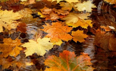 осенняя прохлада пришла в узбекистан, дожди и снег в кыргызстан : погода в среду, 23 октября 2024