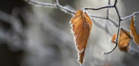 снегопады, гололедица и дожди обрушатся на казахстан: погода в понедельник, 14 октября 2024