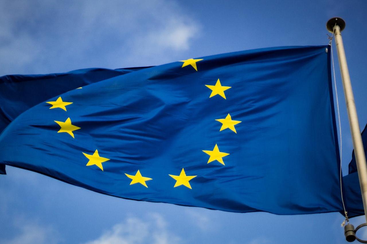 главу европарламента подозревают в плагиате