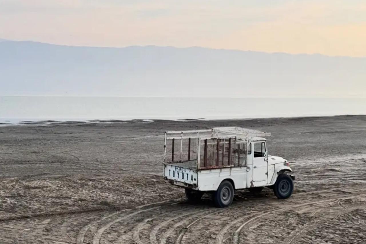 каспий вскоре исчезнет: экологический коллапс произойдет в регионе к середине века