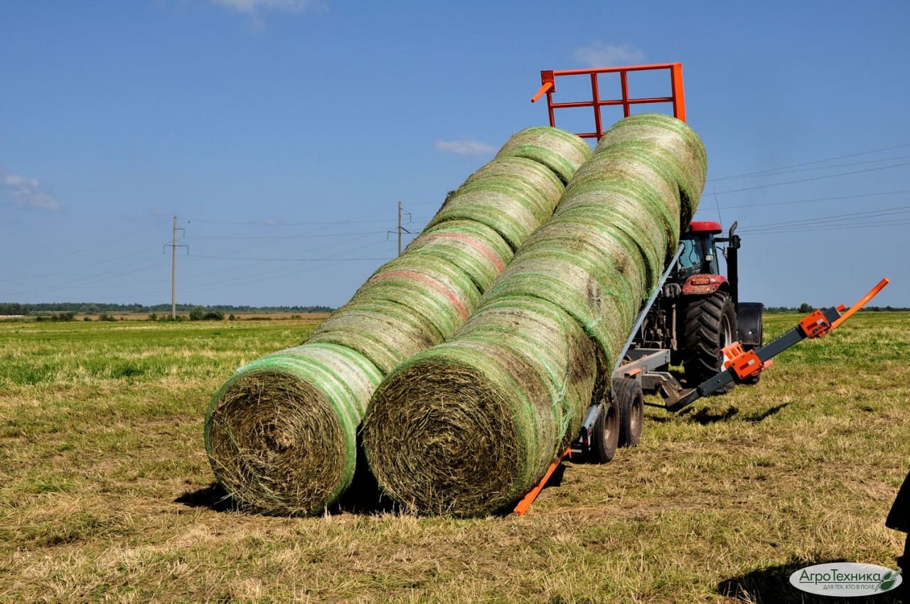 казахстан и россия обсуждают снятие запрета на ввоз льна