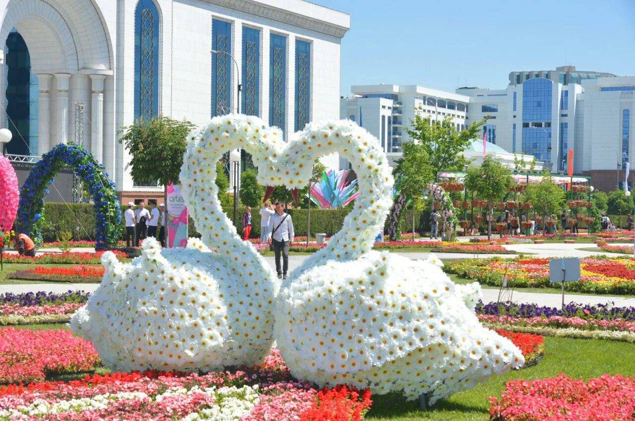 от +24 до +41 ожидается в центральной азии в среду, 13 августа 2025 года