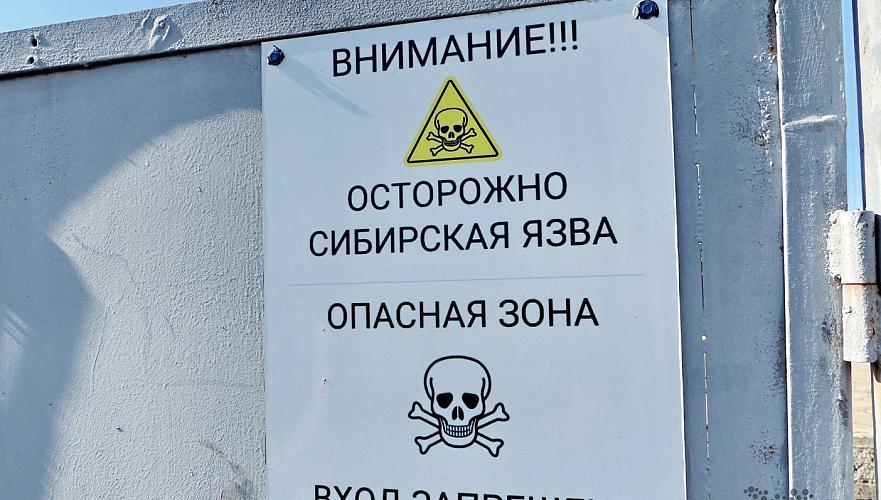 вспышка сибирской язвы в казахстане: в одной из областей ввели карантин