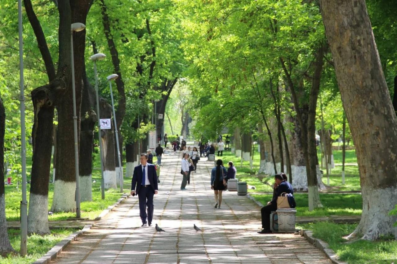 какая погода ожидается в центральной азии в субботу, 5 апреля 2025