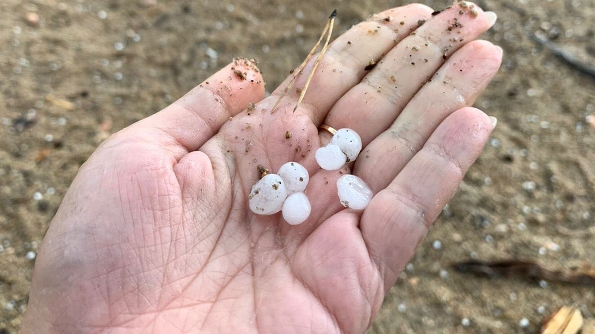 дожди и град вновь обрушатся на казахстан: погода в четверг, 29 августа 2024