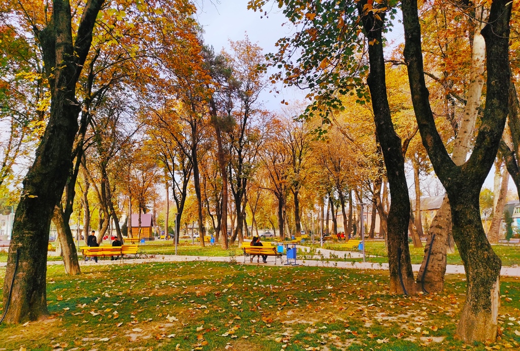 погода, в странах центральной азии, 4 ноября 2023 года: в душанбе +24, в ташкенте +23