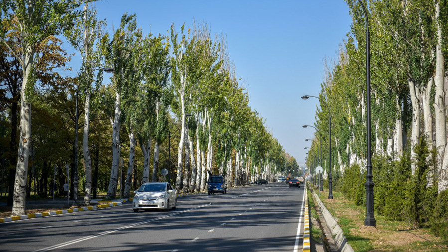 до +37 в узбекистане, без осадков в кыргызстане: погода в четверг, 22 августа 2024