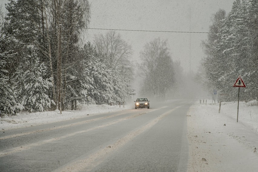экс-главу компании «казавтожол» задержали по подозрению в хищении средств