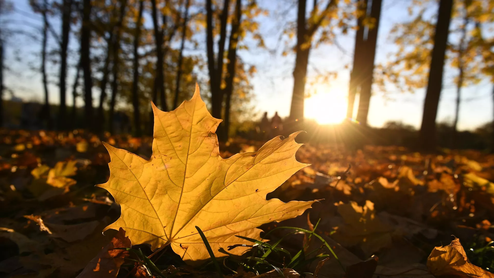 дожди пройдут в узбекистане, тепло и сухо в кыргызстане: погода во вторник, 22 октября 2024