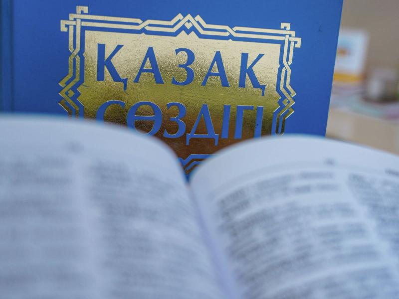 в казахстане обновлена вузовская программа изучения казахского языка 