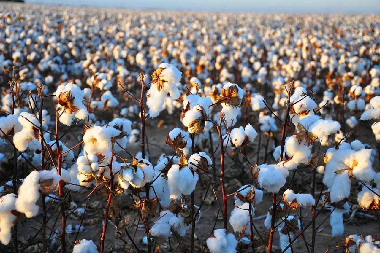 в 2025 году в таджикистане прекратили свою деятельность 87 предприятий