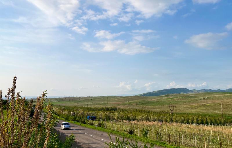 жара и ясная погода в узбекистане, в кыргызстане – местами дожди: прогноз погоды в пятницу, 31 мая 2024