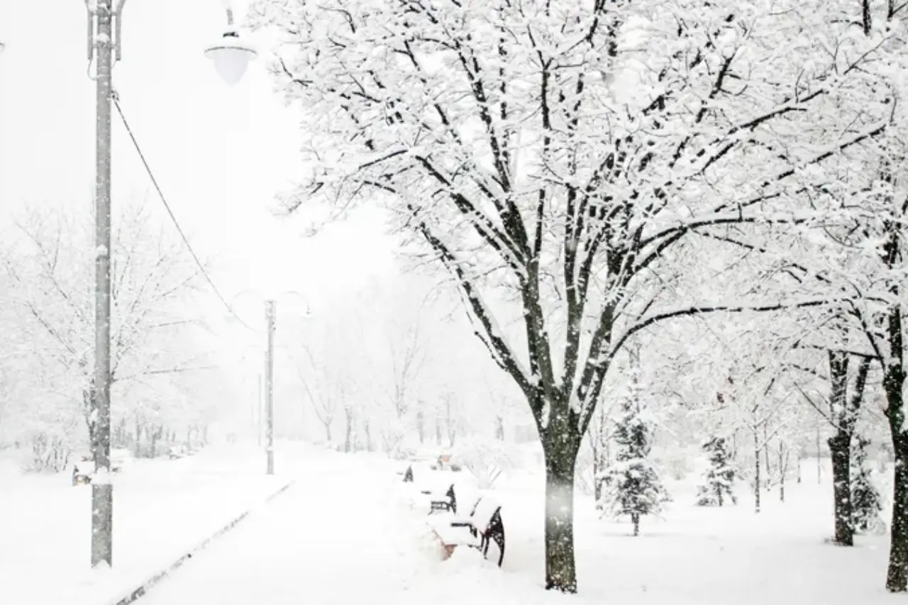 какой будет погода в странах центральной азии в четверг, 23 января 2025