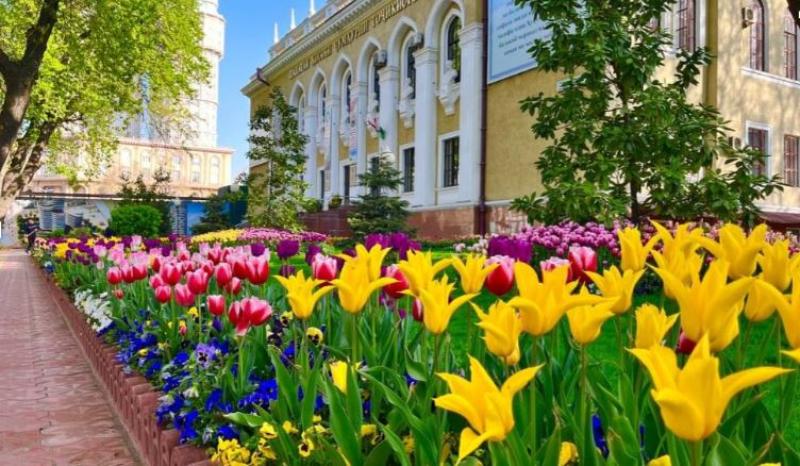 местами дожди, опасность схода лавин: погода в странах центральной азии в воскресенье, 14 апреля