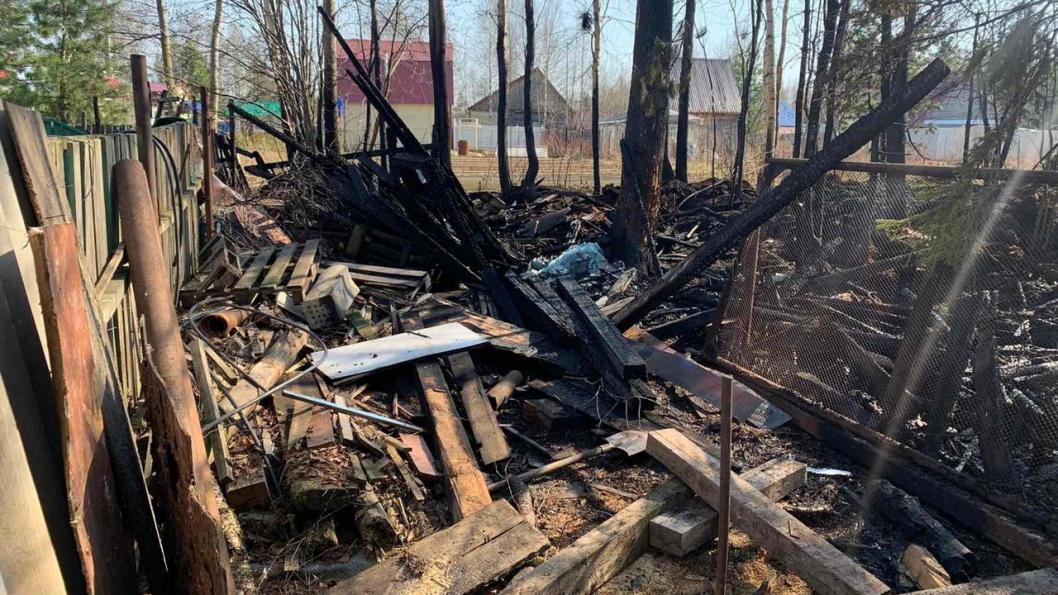 мчс казахстана: пожар в абайской области локализован