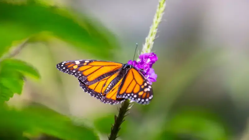 погода в казахстане, кыргызстане и узбекистане в субботу и воскресенье, 8 и 9 июня 2024