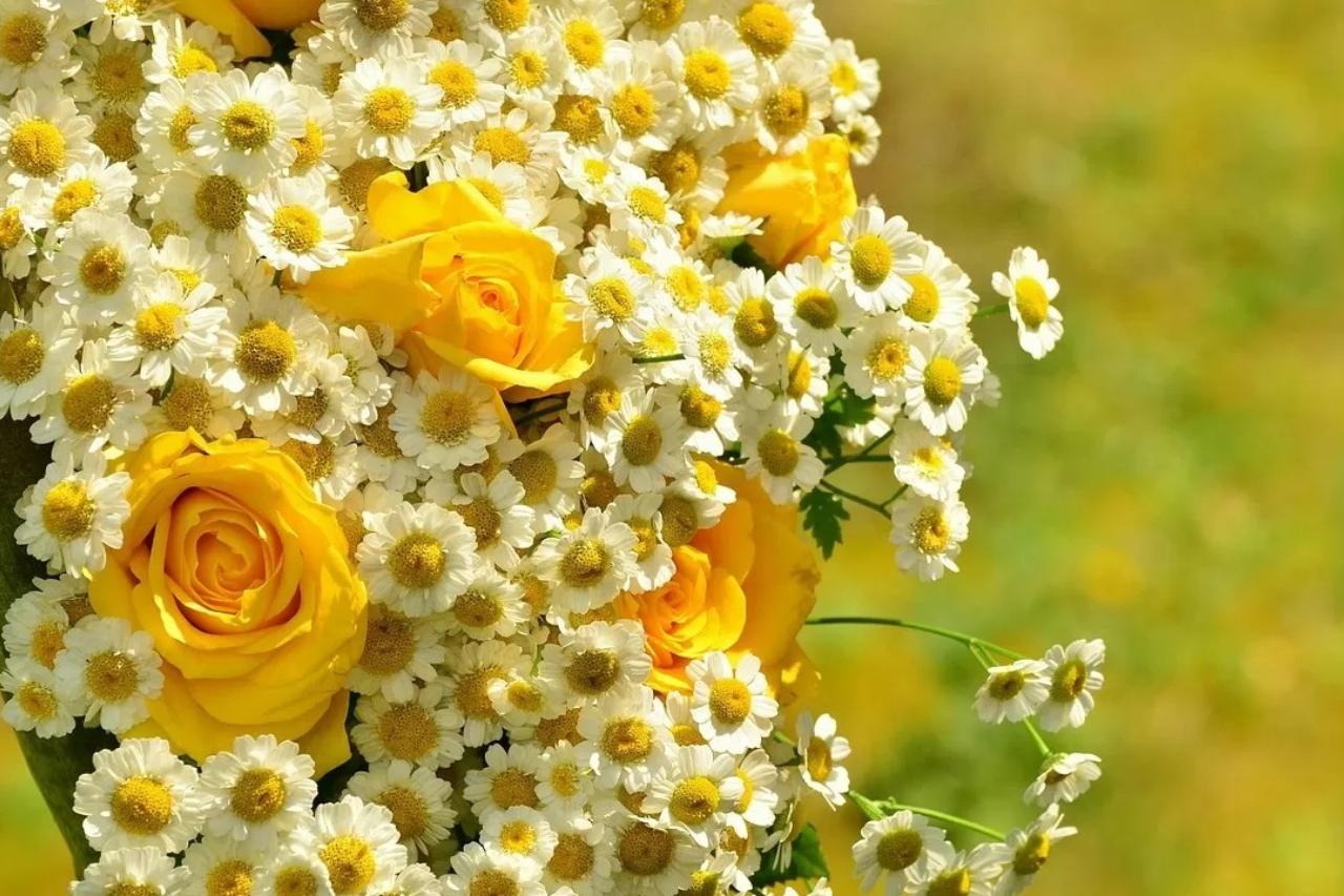 теплая и комфортная погода ожидается в казахстане в понедельник, 21 июля 2025 года