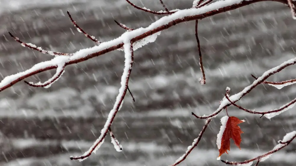 дожди, снег и гололед ожидаются в казахстане: погода во вторник, 22 октября 2024