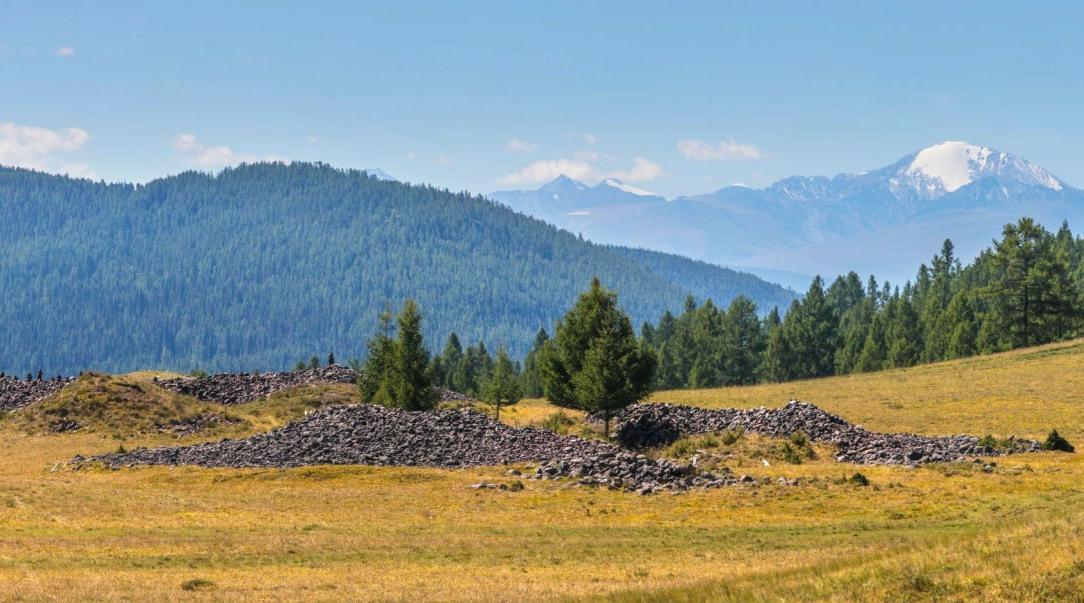 «Хирурги ледникового периода»: как ученые раскрыли тайны древних алтайцев