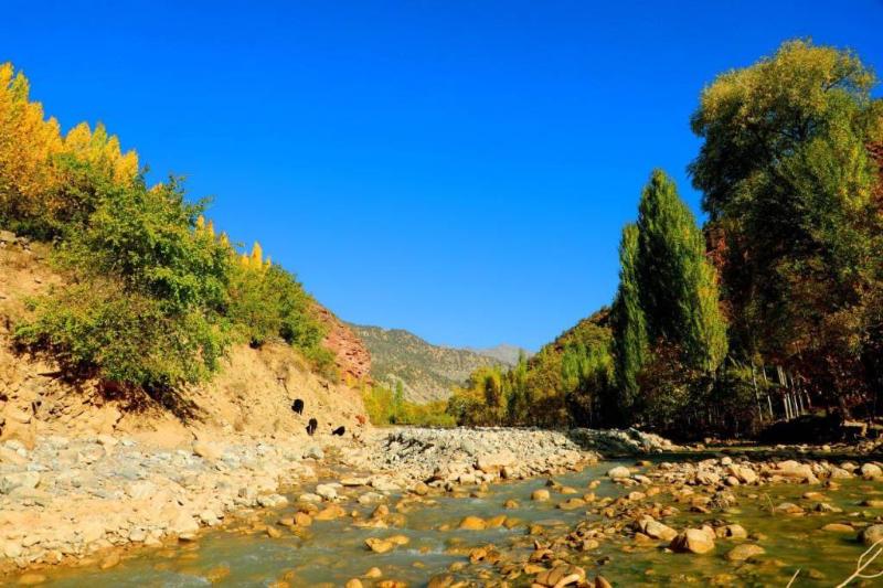 до 37 градусов тепла в узбекистане, в кыргызстане местами дожди: погода во вторник, 24 сентября 2024