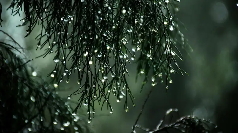 заморозки и сильный ветер придут в казахстан: погода в понедельник, 23 сентября 2024